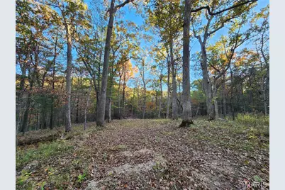 1414 Timber Valley Court, Pacific, MO 63069 - Photo 1