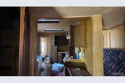 10113 Count Drive, Riverview, MO 63136 - Photo 6