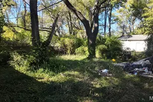 10113 Count Dr, Riverview, MO 63136 - Photo 10