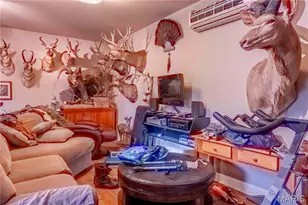 24606 Pike 248, Louisiana, MO 63353 - Photo 32