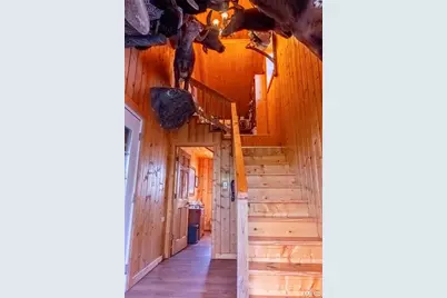 24606 Pike 248, Louisiana, MO 63353 - Photo 44