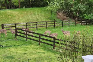 42 Windam Pl Dr, Unincorporated, MO 63304 - Photo 62