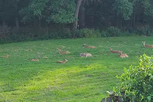 42 Windam Pl Dr, Unincorporated, MO 63304 - Photo 56