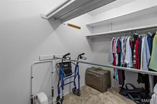 539 Coeur De Royale Dr, Creve Coeur, MO 63141 - Photo 42