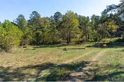 0 County Road 1130, Weldon Spring, MO 65793 - Photo 18
