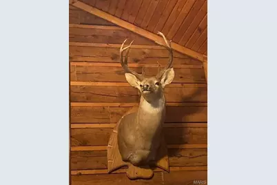 0 County Road 1130, Weldon Spring, MO 65793 - Photo 28