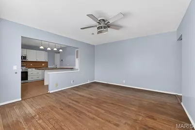 9 Darwin Court, Florissant, MO 63033 - Photo 18