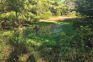 1978 Old Hwy 60, Birch Tree, MO 65438 - Photo 60