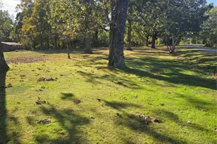 1978 Old Hwy 60, Birch Tree, MO 65438 - Photo 54