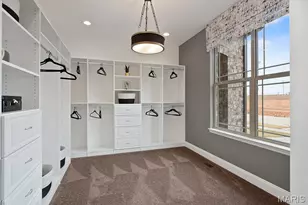 New Build Rainier "F" - Village At Twin Creeks, Cottleville, MO 63304 - Photo 22