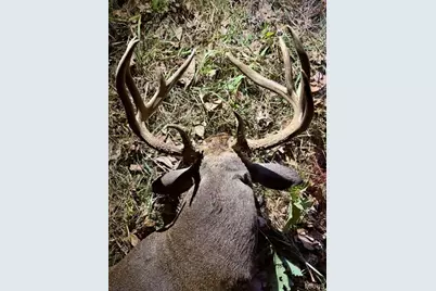 0 Highway D - Tract 6 (22+/- Acres), Eolia, MO 63344 - Photo 12