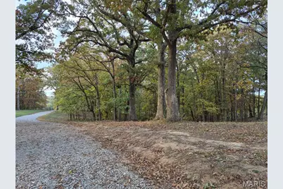 0 Highway D - Tract 6 (22+/- Acres), Eolia, MO 63344 - Photo 14