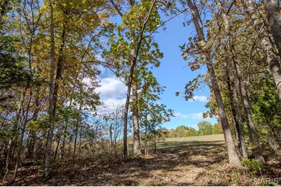 207 Good News Lane, Cuba, MO 65453 - Photo 40