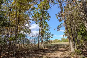 207 Good News Ln, Cuba, MO 65453 - Photo 40