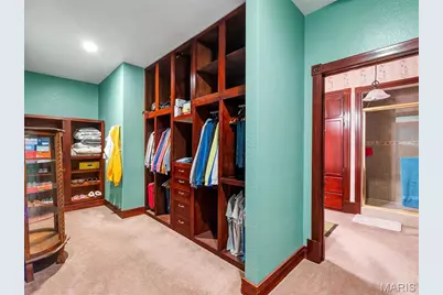 245 Chickadee Lane Lane, Sullivan, MO 63080 - Photo 44