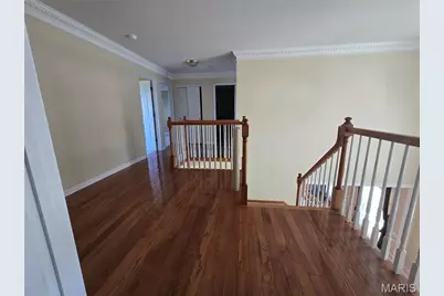 1102 Nooning Tree Drive, Chesterfield, MO 63017 - Photo 12