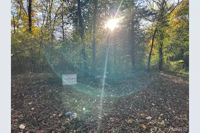 410 Oak Drive, Gray Summit, MO 63039 - Photo 6