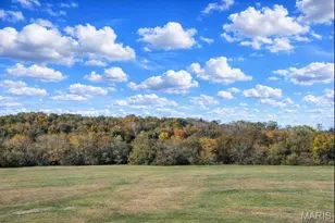 3285 Hwy Uu, Union, MO 63084 - Photo 92