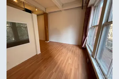 507 N 13th Street #207, Saint Louis, MO 63103 - Photo 6