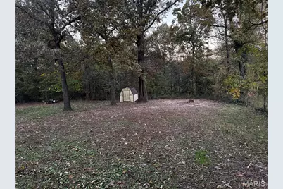 78 Meadow Pine Lane, Poplar Bluff, MO 63901 - Photo 4