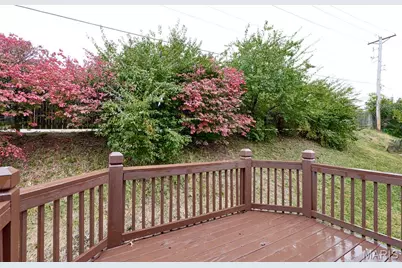 12041 Victorian Village Court, Saint Louis, MO 63138 - Photo 26