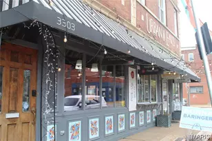 4135 Minnesota Ave, Saint Louis, MO 63118 - Photo 24