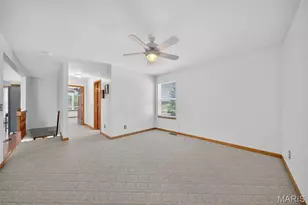 11 Sherman Dr, Elsberry, MO 63343 - Photo 38