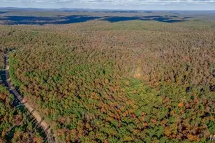 1790 Carter 327, Ellsinore, MO 63937 - Photo 48