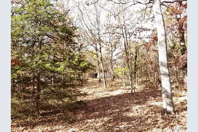 100 Rottie Lane, Cuba, MO 65453 - Photo 12