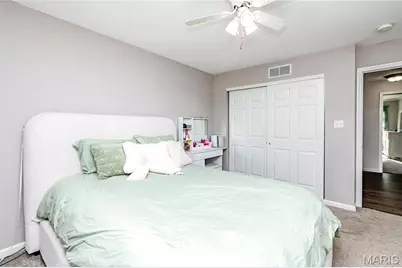 6066 Peachtree Drive, Hillsboro, MO 63050 - Photo 16