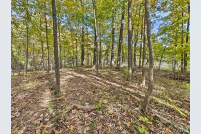 497 Honor Lane, Poplar Bluff, MO 63901 - Photo 86