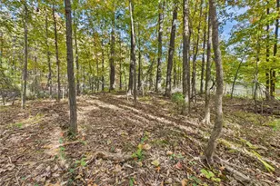 497 Honor Ln, Poplar Bluff, MO 63901 - Photo 86