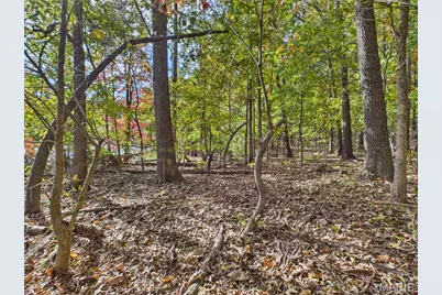 497 Honor Lane, Poplar Bluff, MO 63901 - Photo 72