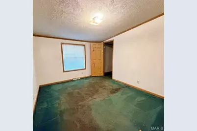 27110 Stoddard Drive, Laquey, MO 65534 - Photo 16