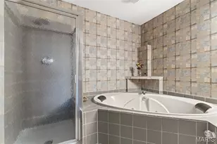 3843 St Ferdinand Ave, Saint Louis, MO 63113 - Photo 16