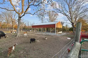 2168 Pendleton Rd, Farmington, MO 63640 - Photo 80