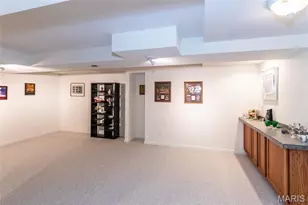9860 E Vista Dr, Hillsboro, MO 63050 - Photo 40