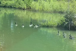 5893 Midridge Dr, House Springs, MO 63051 - Photo 24