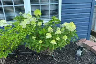 5893 Midridge Dr, House Springs, MO 63051 - Photo 28