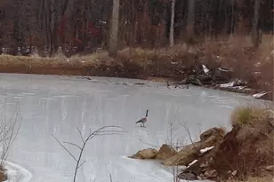 5893 Midridge Dr, House Springs, MO 63051 - Photo 26