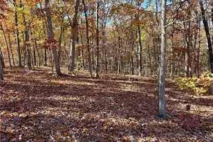 10270 Skyline Dr, Cadet, MO 63630 - Photo 1