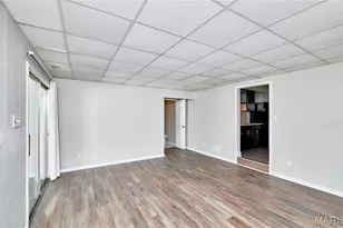 29 Mary Ann Ct, Florissant, MO 63031 - Photo 16