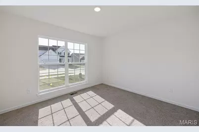 5653 Sun Bear Drive, House Springs, MO 63051 - Photo 28