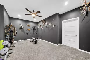 24561 Pike 9262, Ellisville, MO 63336 - Photo 26