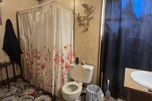 335 S Iron St, Ironton, MO 63650 - Photo 32