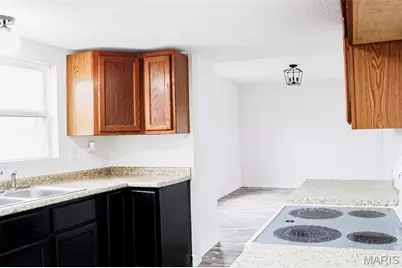 301 W North Street, Leadwood, MO 63653 - Photo 12