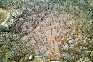 5591 Old State Route 21, House Springs, MO 63051 - Photo 42