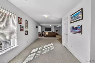 10507 Glen Oaks Drive, Festus, MO 63028 - Photo 38