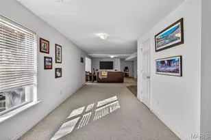 10507 Glen Oaks Dr, Festus, MO 63028 - Photo 38