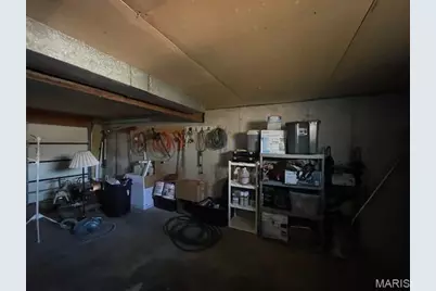 1126 South Deer Trail, Fredericktown, MO 63645 - Photo 46